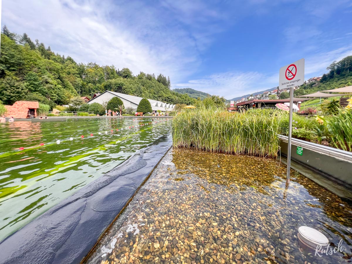 Piscine naturelle Ottenhöfen