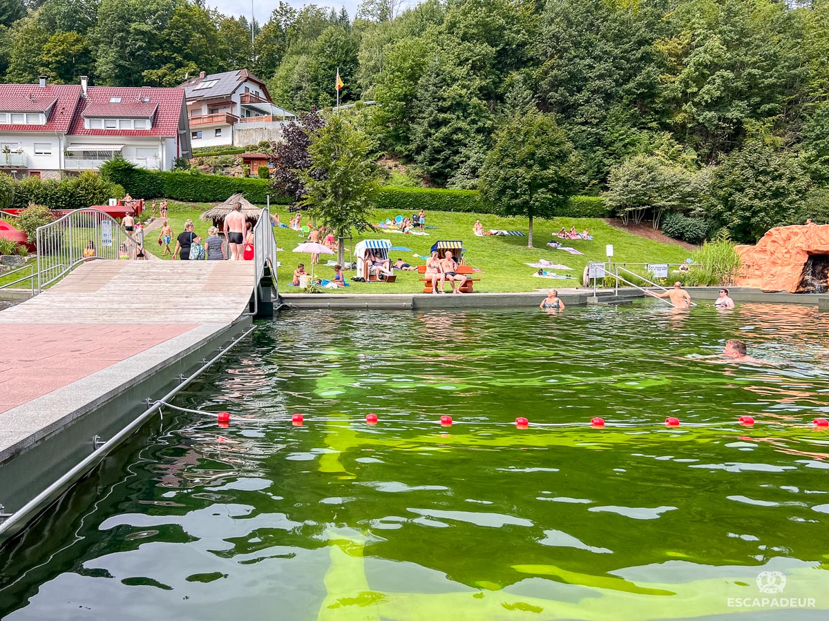 Piscine naturelle Ottenhöfen