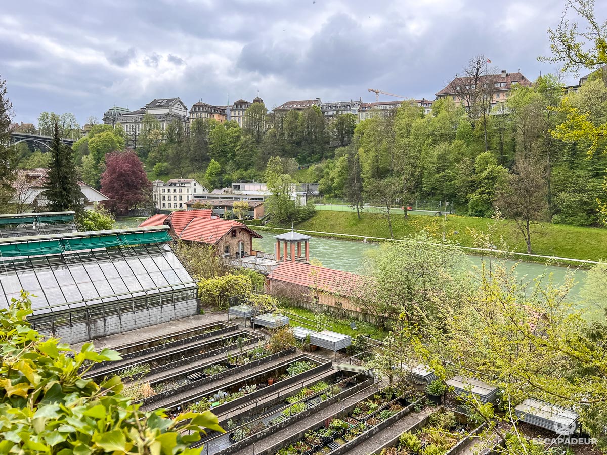 Berne - Jardin Botanique de l'Université