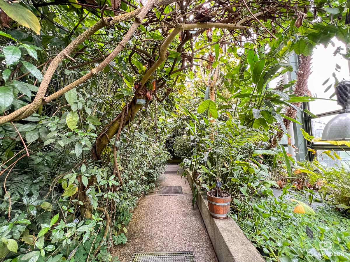 Berne - Jardin Botanique de l'Université