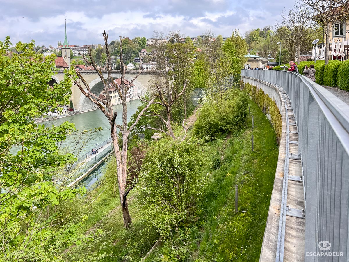 Berne - Parc aux Ours