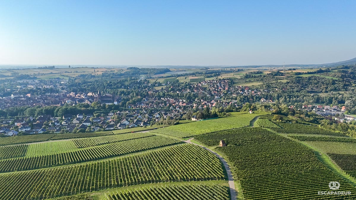 Wissembourg et son vignoble