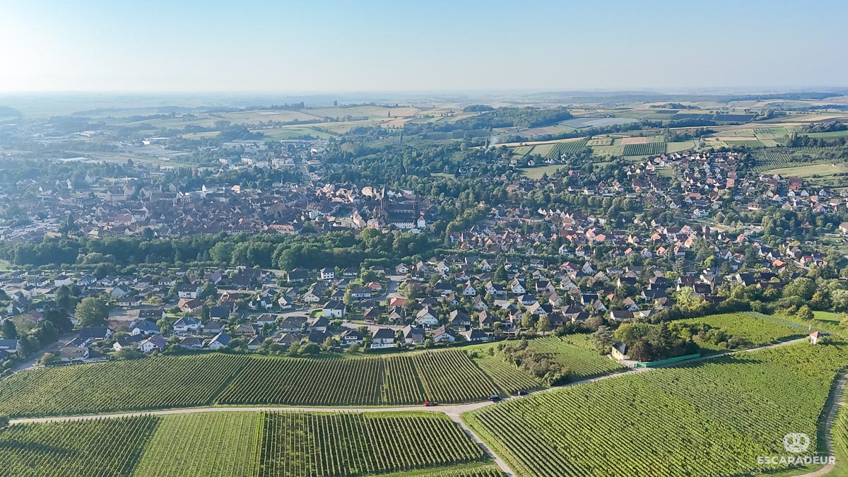 Wissembourg et son vignoble