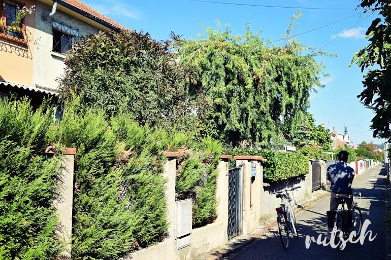 Cité ouvrière Mulhouse