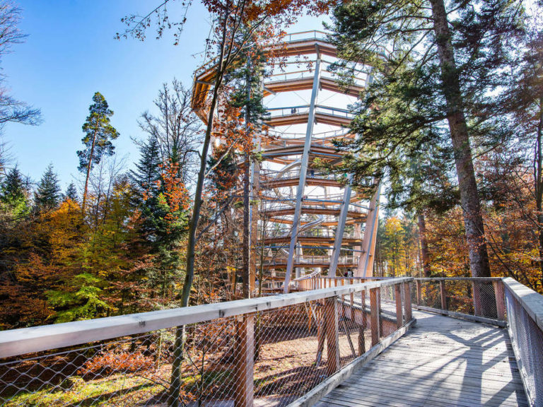 Sentier en bois, au pied de la tour