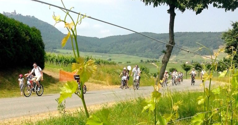 SlowUp Alsace © LAETITIA LAEMMEL - ADT67