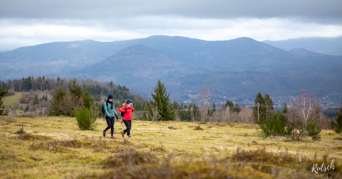 Chaumes de Grendelbruch depuis la Gare de Lutzehouse