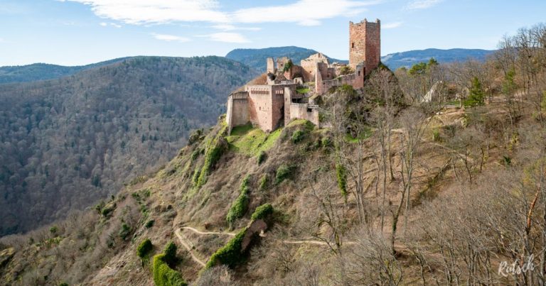 Randonnée Château Saint-Ulrich de Ribeauvillé