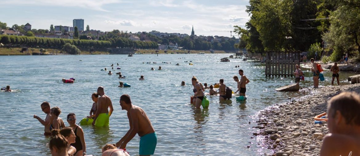 âle baignade dans le Rhin