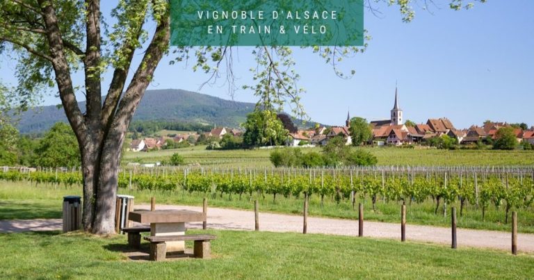 Cover - Mittelbergheim Alsace