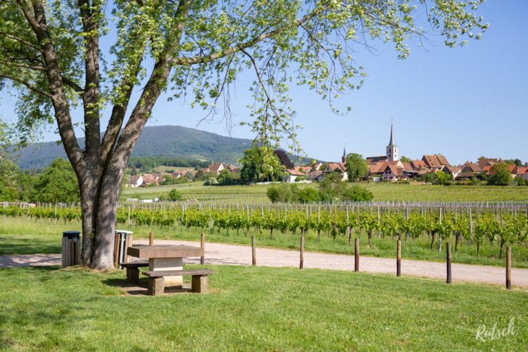 Route des Vins d'Alsace velo - Aire de repos Mittelbergheim
