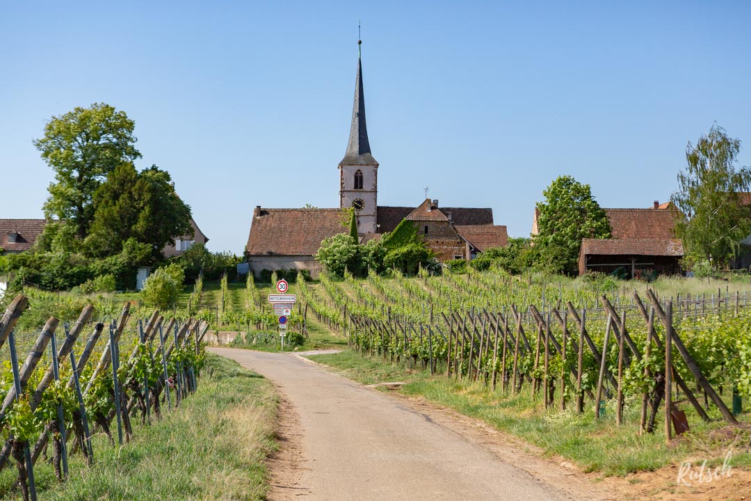 Route des Vins d'Alsace velo - EuroVelo5