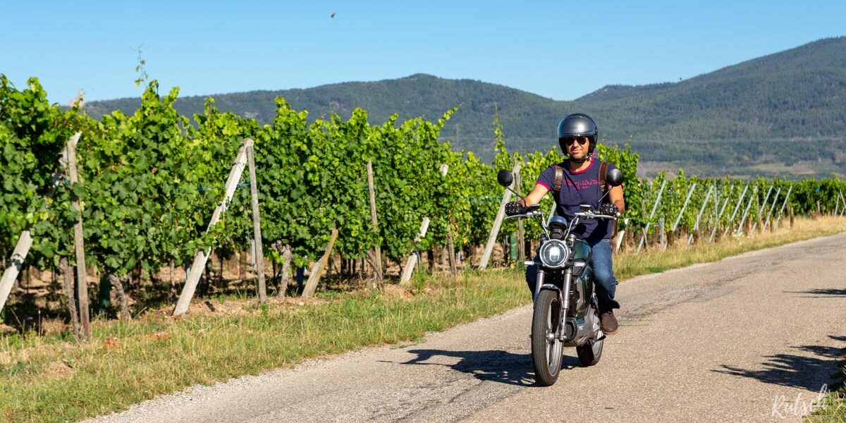 WattRider Vignoble Sélestat - Haut-Kœnigsbourg