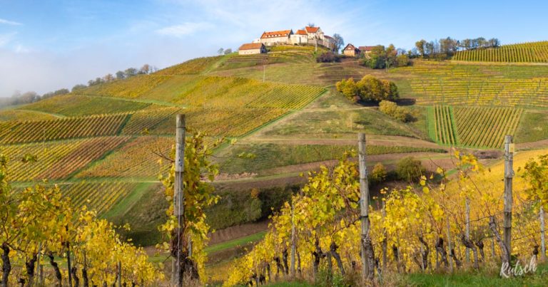Vignoble Durbach