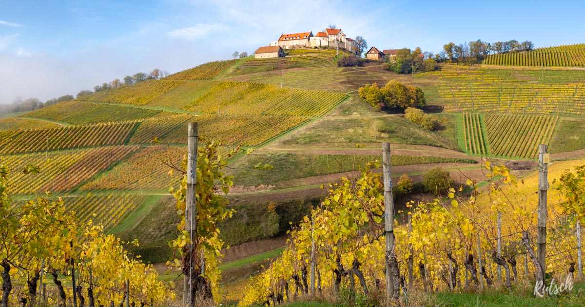 Vignoble Durbach