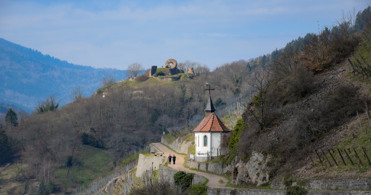 Sentier viticole du Rangen