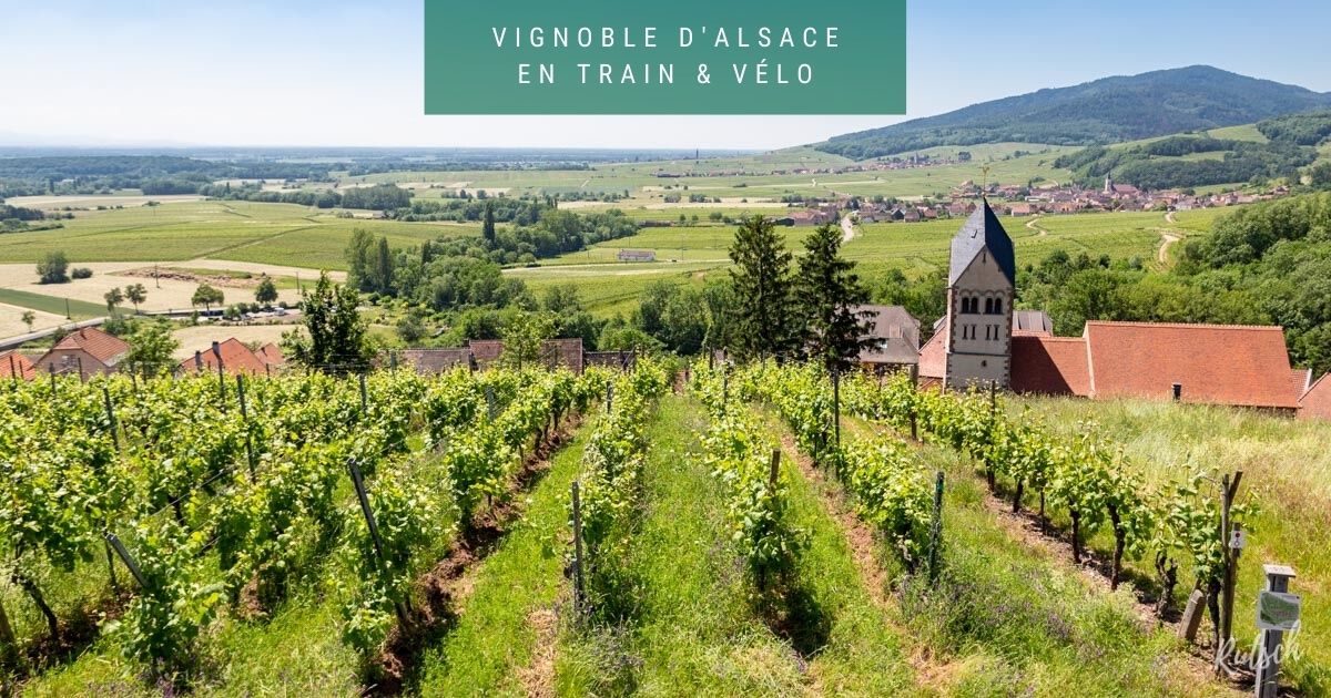 Belvédère d'Itterswiller