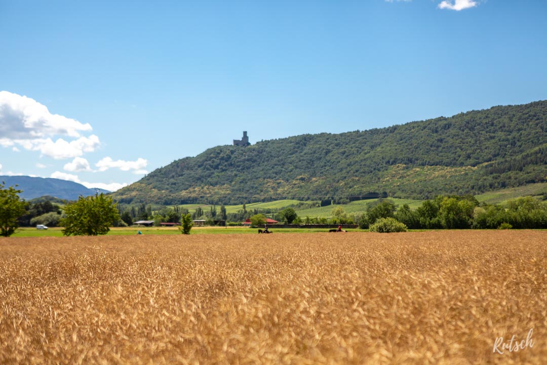 Route des Vins d'Alsace château Ortenbourg