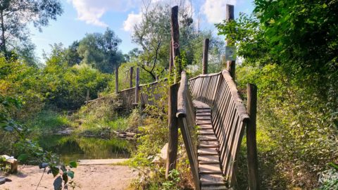 Sentier Sauvage Auen / Auen Wildnis Neuried