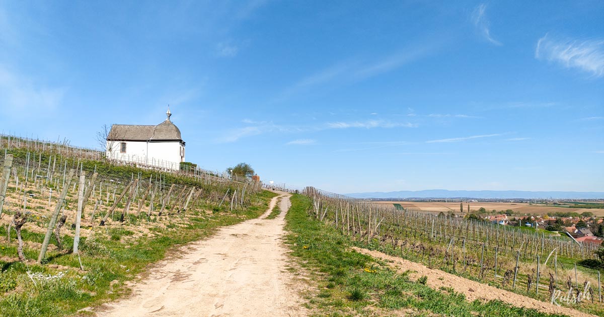Randonnée Circuit Marlenberg Marlenheim