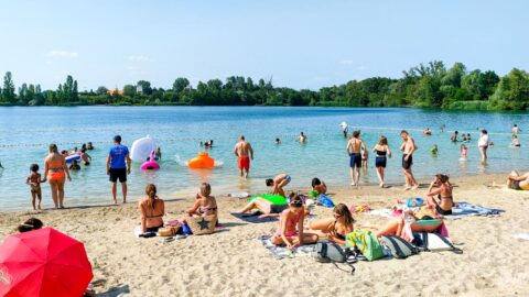 Lac Achard Illkirch