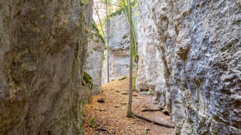 Grotte des Nains Ferrette
