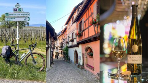 Cover - Route des Vins d'Alsace à vélo - Colmar Eguisheim Rouffach