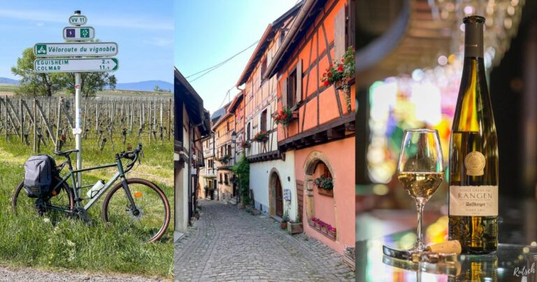 Cover - Route des Vins d'Alsace à vélo - Colmar Eguisheim Rouffach
