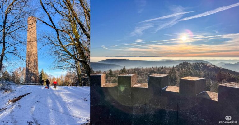Cover - Randonnée Alsace - de la Gare de Niederbronn à la tour du Grand Wintersberg