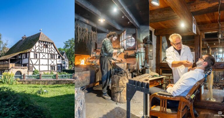 Cover Ecomusee d'Asace