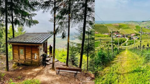 Randonnée en Forêt-Noire - Durbacher Weitblick