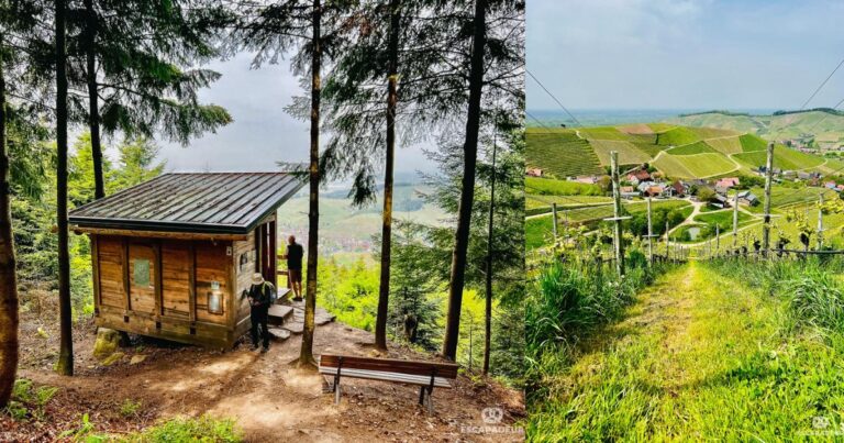 Randonnée en Forêt-Noire - Durbacher Weitblick