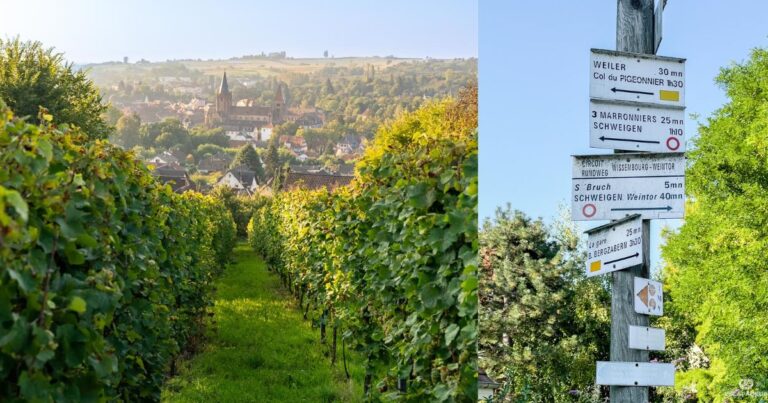 Cover - Wissembourg circuit vignoble sans frontière