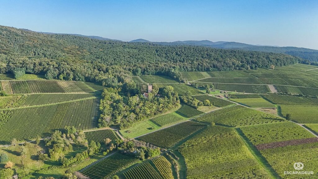 Wissembourg et son vignoble