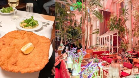 Les Restaurants à Vienne