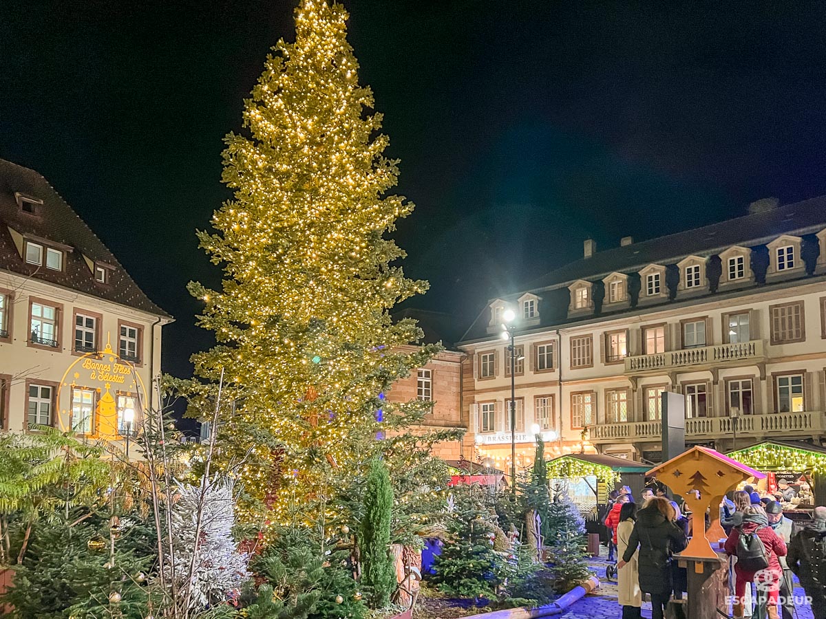 Marché de Noël de Sélestat