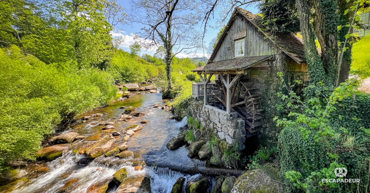 Mühlenweg - Randonnée en Forêt-Noire - Ottenhöfen