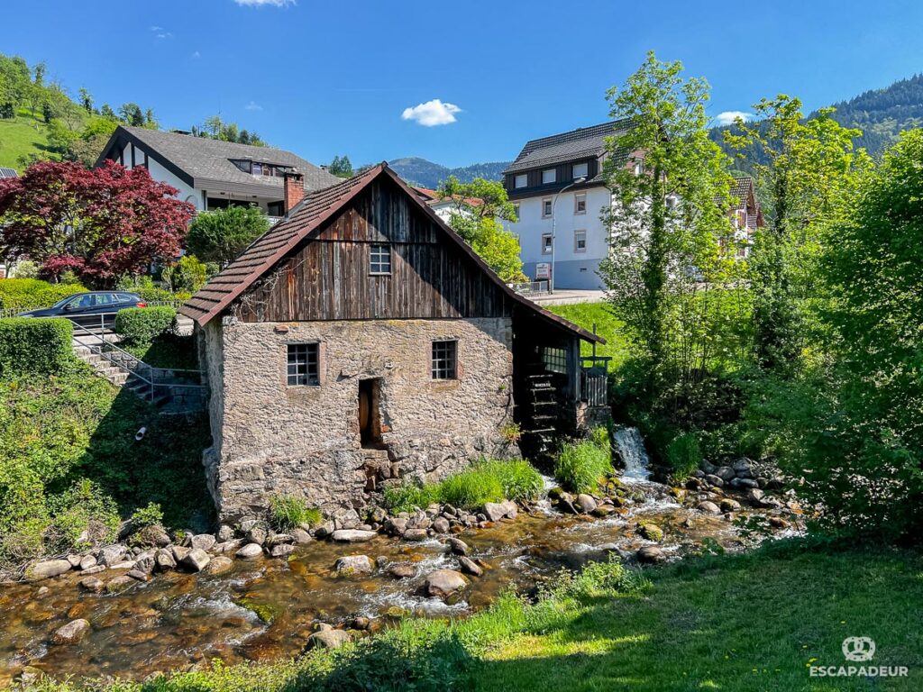 Mühlenweg - Randonnée en Forêt-Noire - Ottenhöfen
