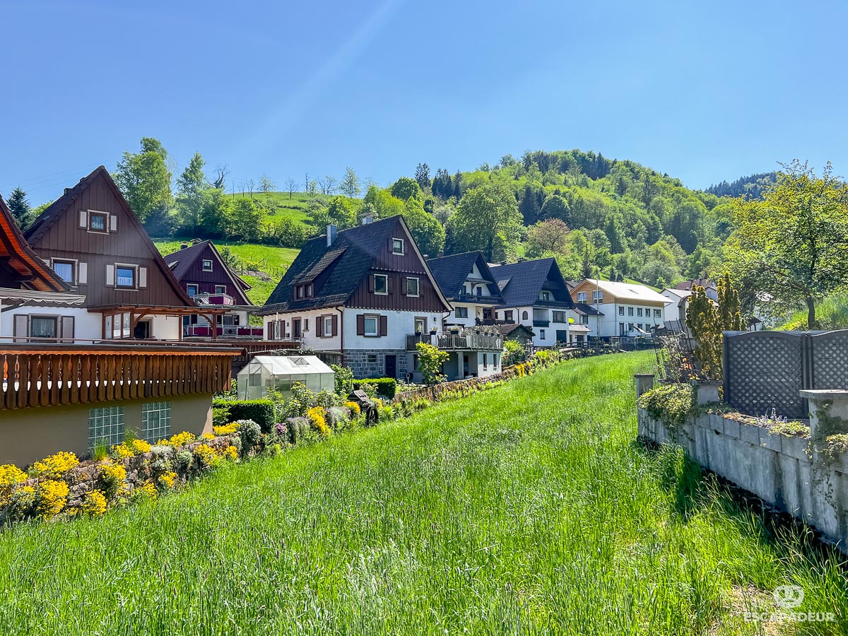 Mühlenweg - Randonnée en Forêt-Noire - Ottenhöfen