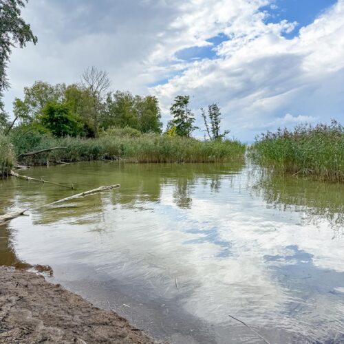 Estavayer-le-Lac - Grande Cariçaie