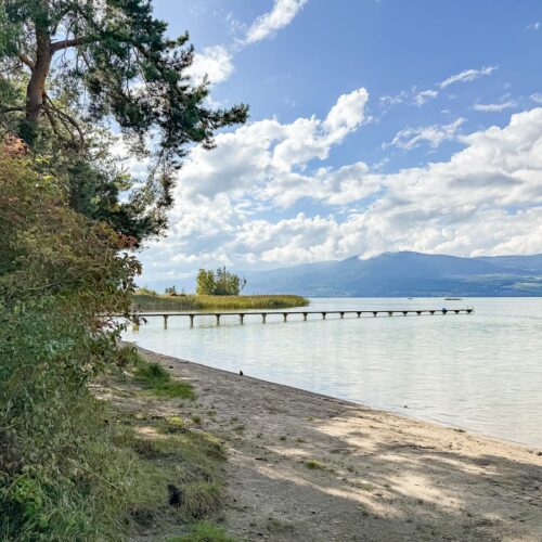 Estavayer-le-Lac - Grande Cariçaie - Plage