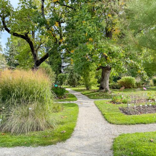 Fribourg - Jardin Botanique de l'Université de Fribourg