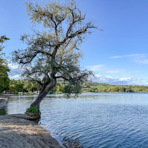 Lac de Morat - Plage Salavaux