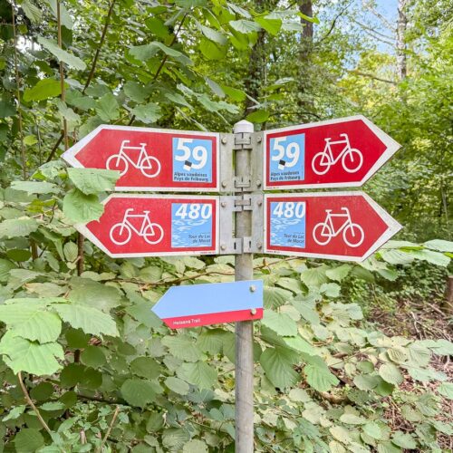 Lac de Morat - Tour du lac à vélo - Balisages