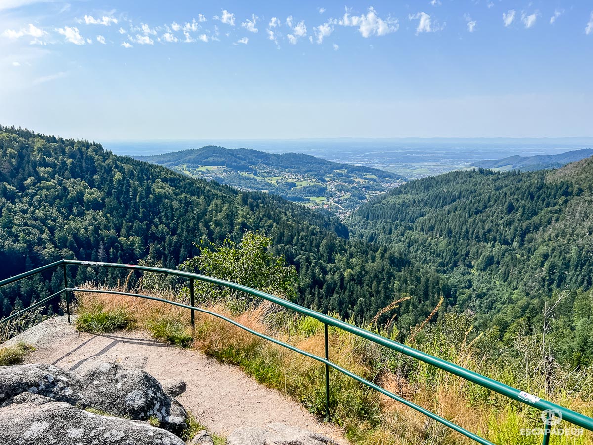 Bühl - Randonnée en Forêt-Noire - Cascades Gertelbach