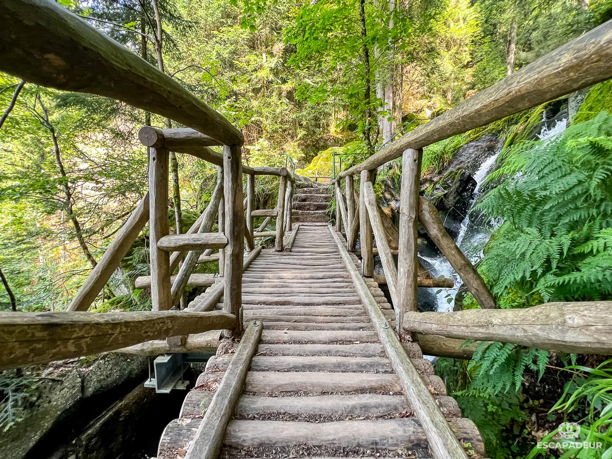 Bühl - Randonnée en Forêt-Noire - Cascades Gertelbach