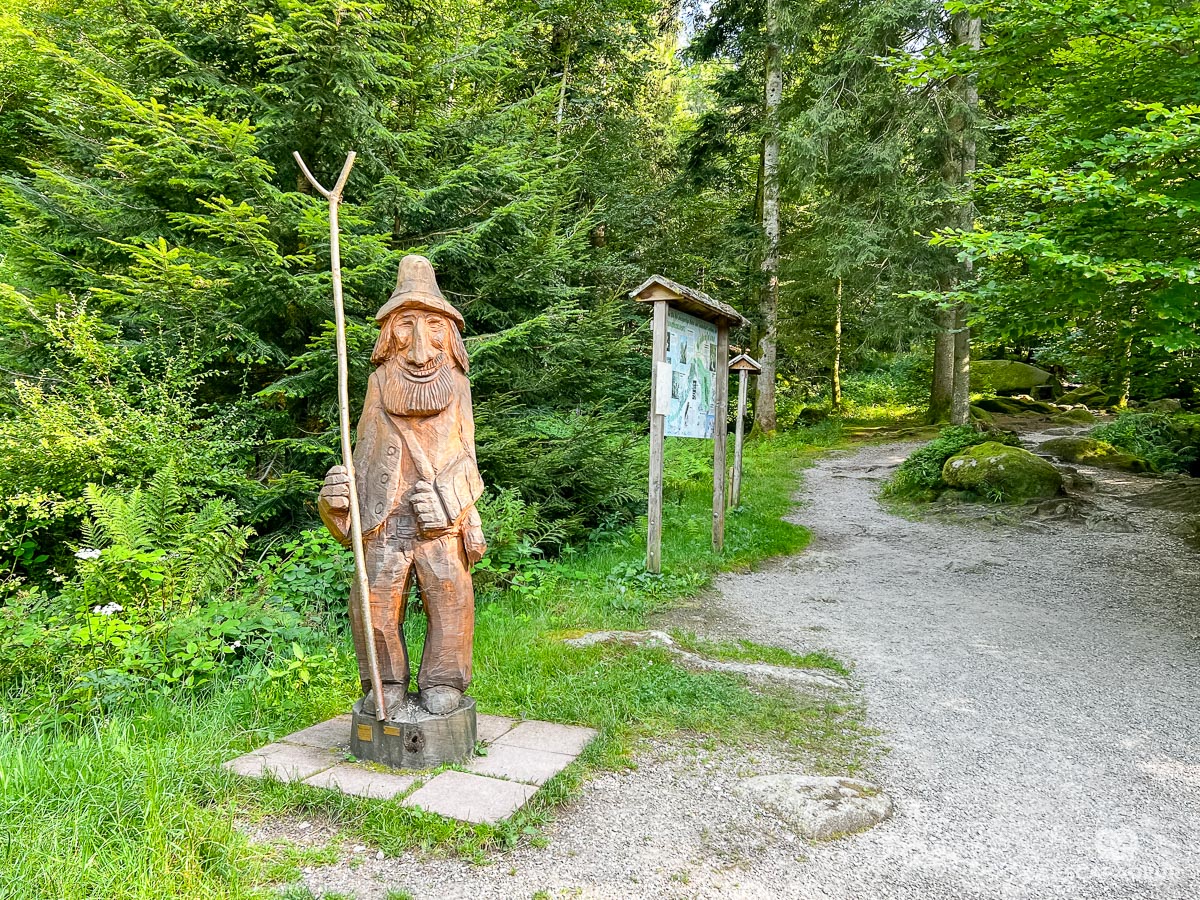 Bühl - Randonnée en Forêt-Noire - Cascades Gertelbach