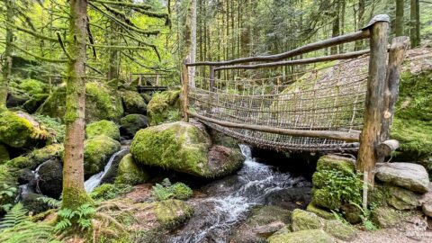 Bühl - Randonnée en Forêt-Noire - Cascades Gertelbach