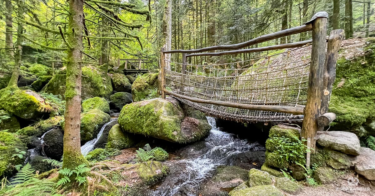 Bühl - Randonnée en Forêt-Noire - Cascades Gertelbach