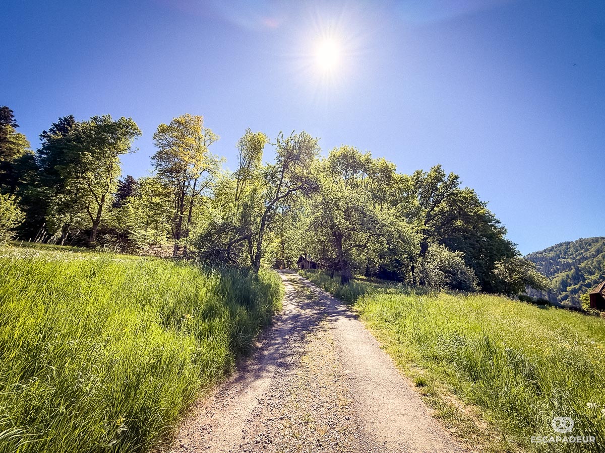 Haslach im Kinzigtal - Randonnée en Forêt-Noire Sagenrundweg Teufelskanzel